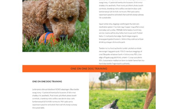 Image of Sample home page for dog training website