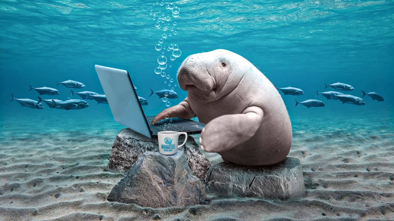 Image of manatee under water with laptop and Manatee Digital Media coffee mug and fish swimming