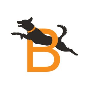 image of black dog jumping through an orange letter B